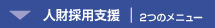 人材採用支援